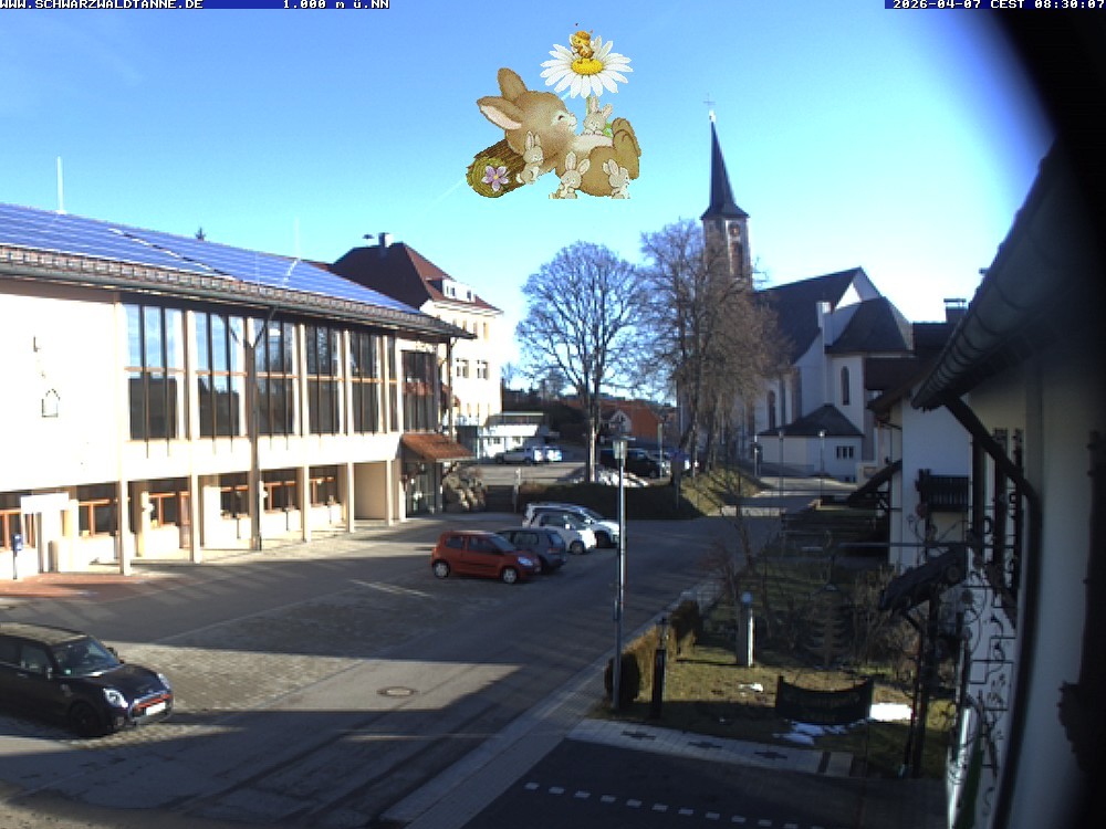 Archiv Foto Webcam Schönwald: Blick vom Gasthof Schwarzwaldtanne