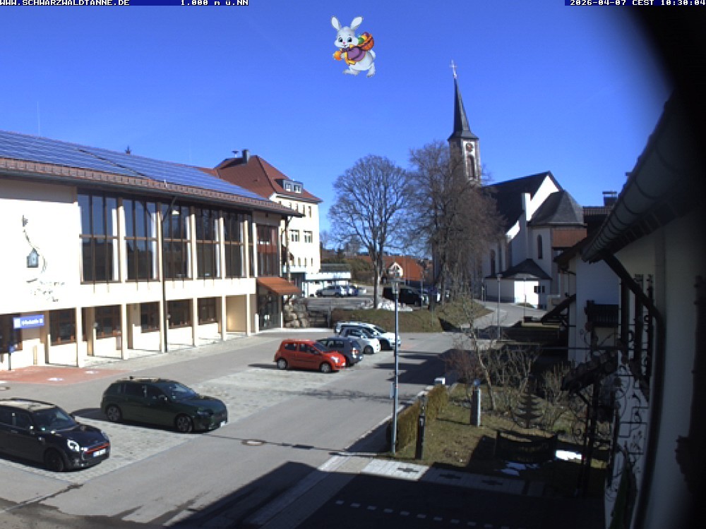 Archiv Foto Webcam Schönwald: Blick vom Gasthof Schwarzwaldtanne