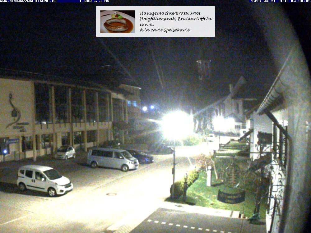 Archiv Foto Webcam Schönwald: Blick vom Gasthof Schwarzwaldtanne