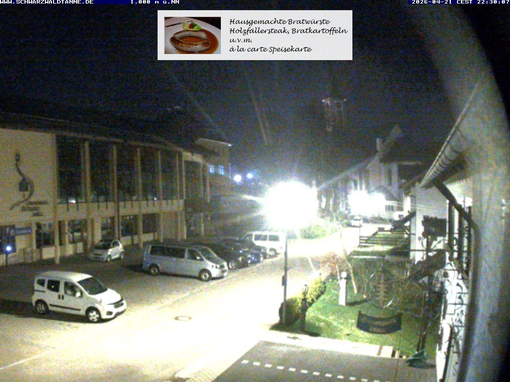 Archived image Webcam View from Guesthouse "Schwarzwaldtanne"