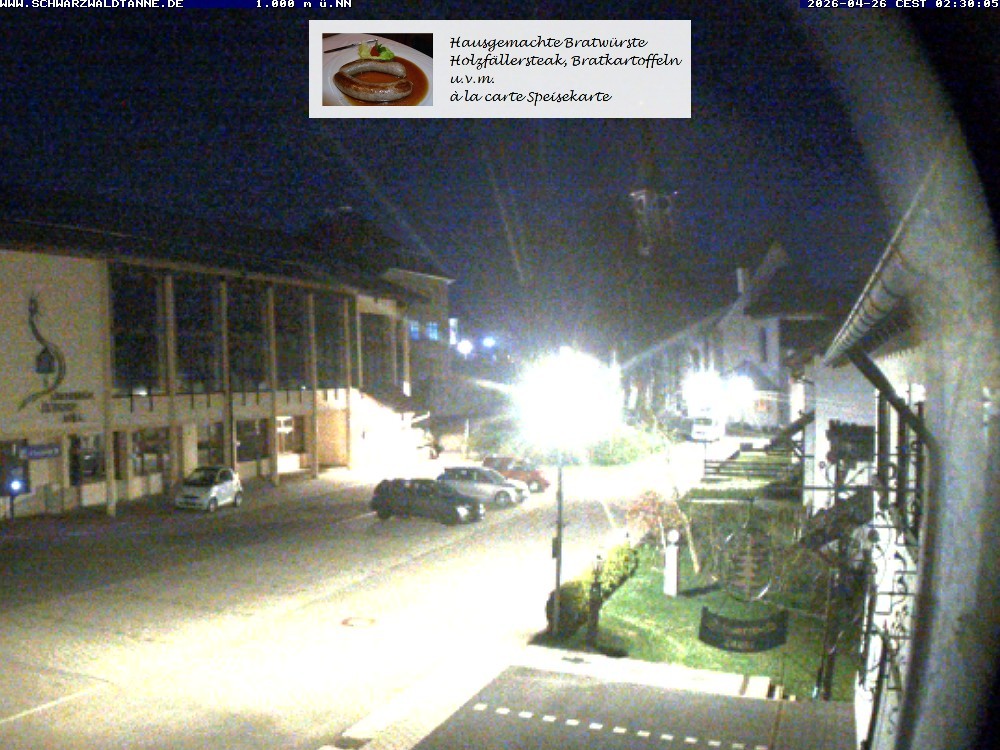 Archiv Foto Webcam Schönwald: Blick vom Gasthof Schwarzwaldtanne