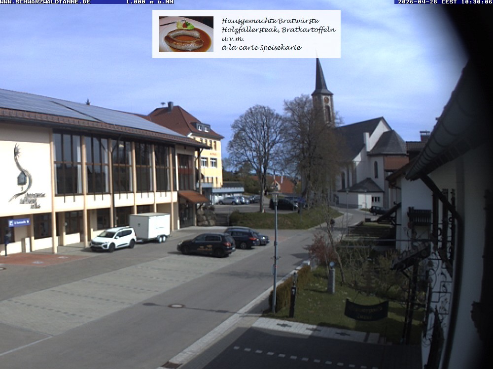 Archiv Foto Webcam Schönwald: Blick vom Gasthof Schwarzwaldtanne