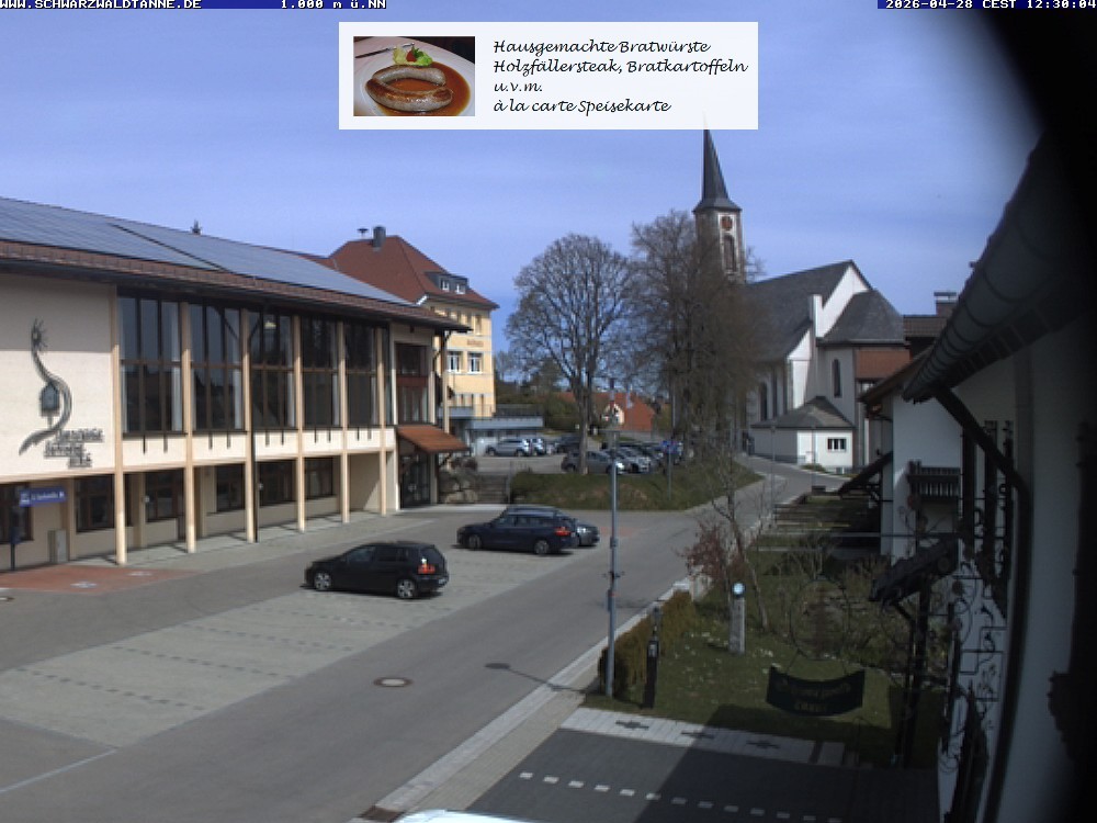 Archiv Foto Webcam Schönwald: Blick vom Gasthof Schwarzwaldtanne