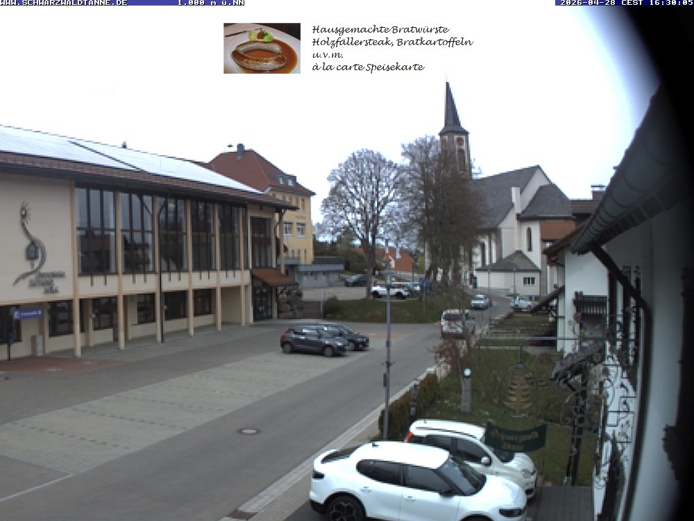 Archiv Foto Webcam Schönwald: Blick vom Gasthof Schwarzwaldtanne