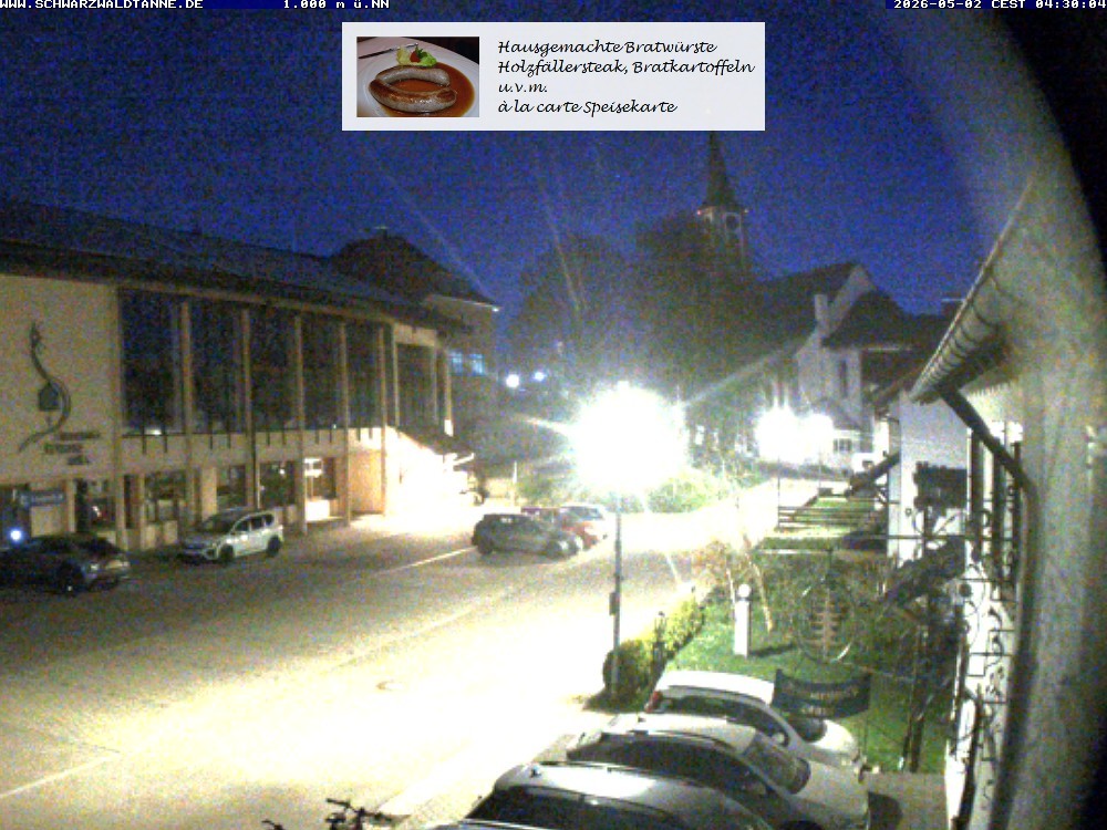 Archiv Foto Webcam Schönwald: Blick vom Gasthof Schwarzwaldtanne