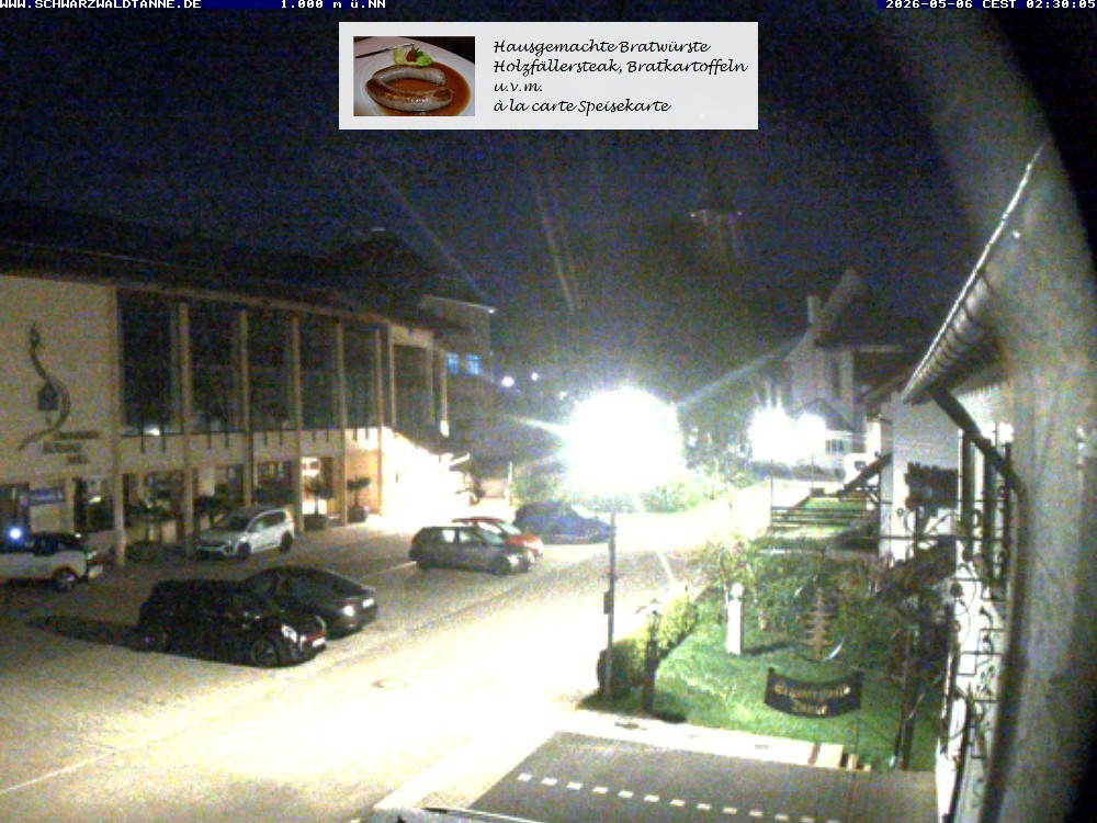 Archiv Foto Webcam Schönwald: Blick vom Gasthof Schwarzwaldtanne