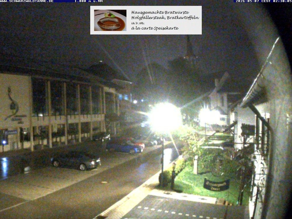 Archiv Foto Webcam Schönwald: Blick vom Gasthof Schwarzwaldtanne