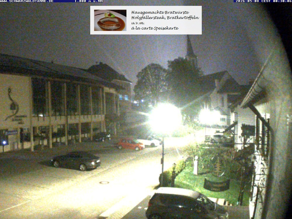 Archived image Webcam View from Guesthouse "Schwarzwaldtanne"