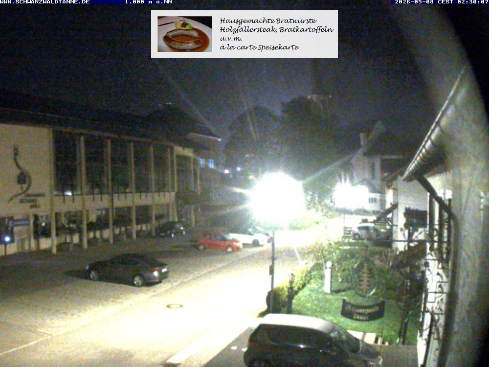 Archived image Webcam View from Guesthouse "Schwarzwaldtanne"