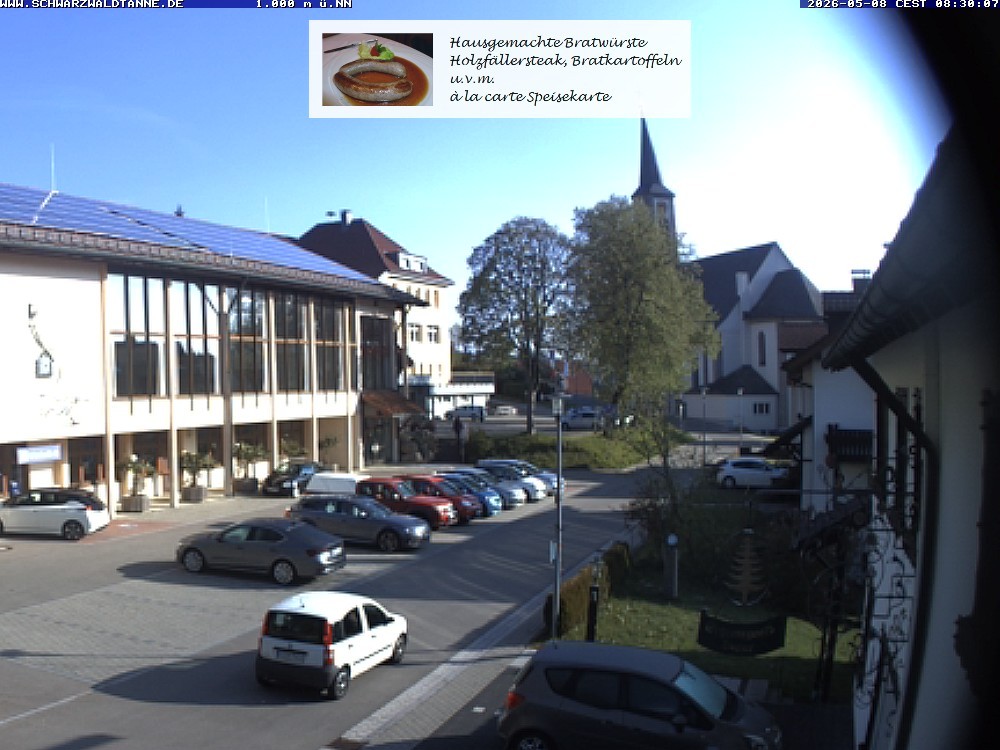 Archived image Webcam View from Guesthouse "Schwarzwaldtanne"