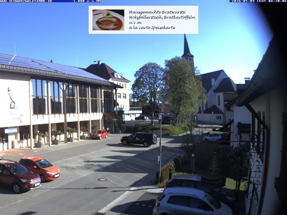 Archiv Foto Webcam Schönwald: Blick vom Gasthof Schwarzwaldtanne