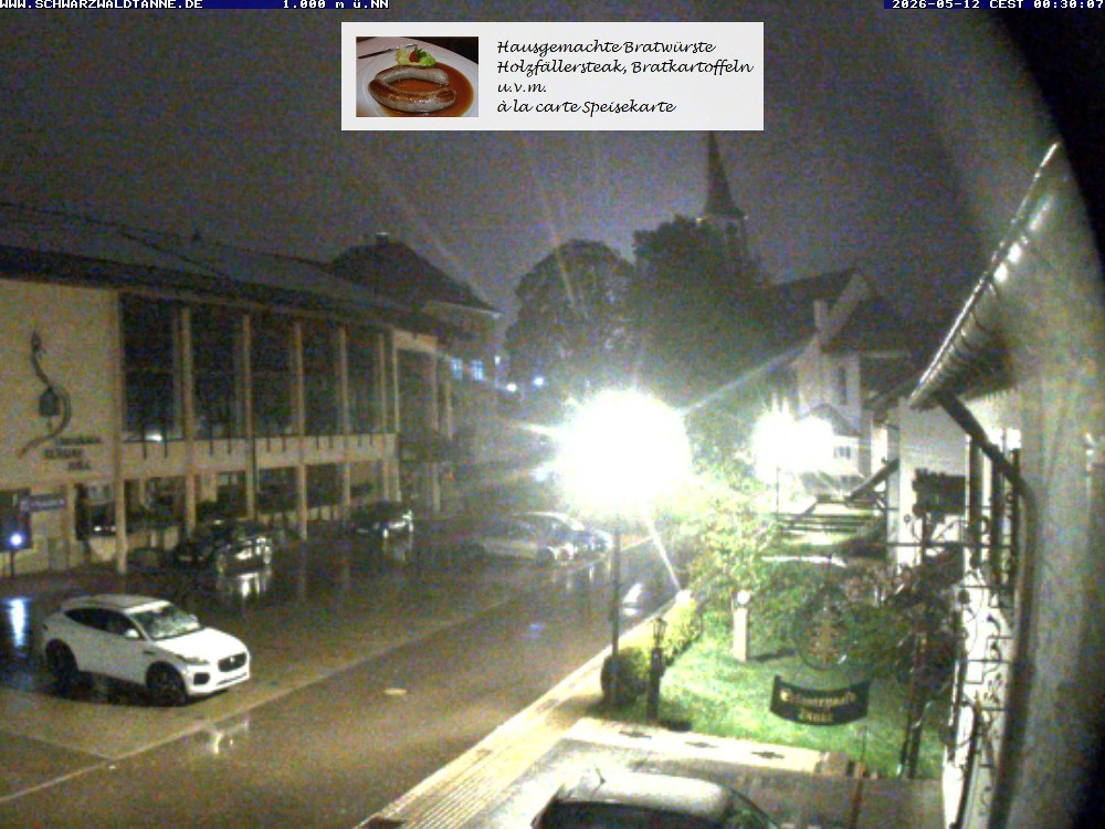 Archived image Webcam View from Guesthouse "Schwarzwaldtanne"