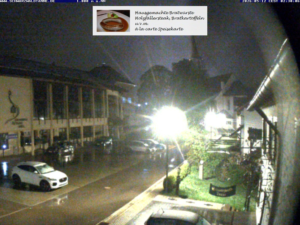 Archived image Webcam View from Guesthouse "Schwarzwaldtanne"