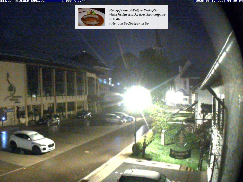 Archived image Webcam View from Guesthouse "Schwarzwaldtanne"
