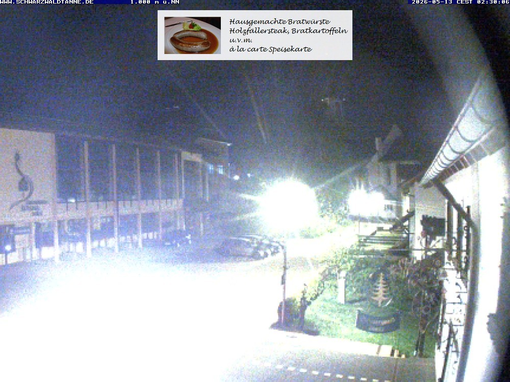 Archiv Foto Webcam Schönwald: Blick vom Gasthof Schwarzwaldtanne