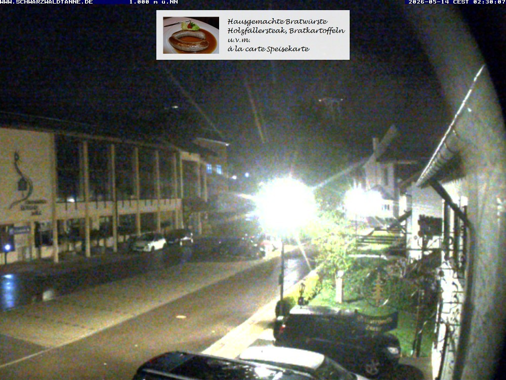 Archiv Foto Webcam Schönwald: Blick vom Gasthof Schwarzwaldtanne