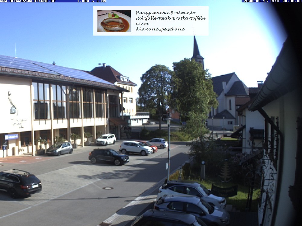 Archived image Webcam View from Guesthouse "Schwarzwaldtanne"
