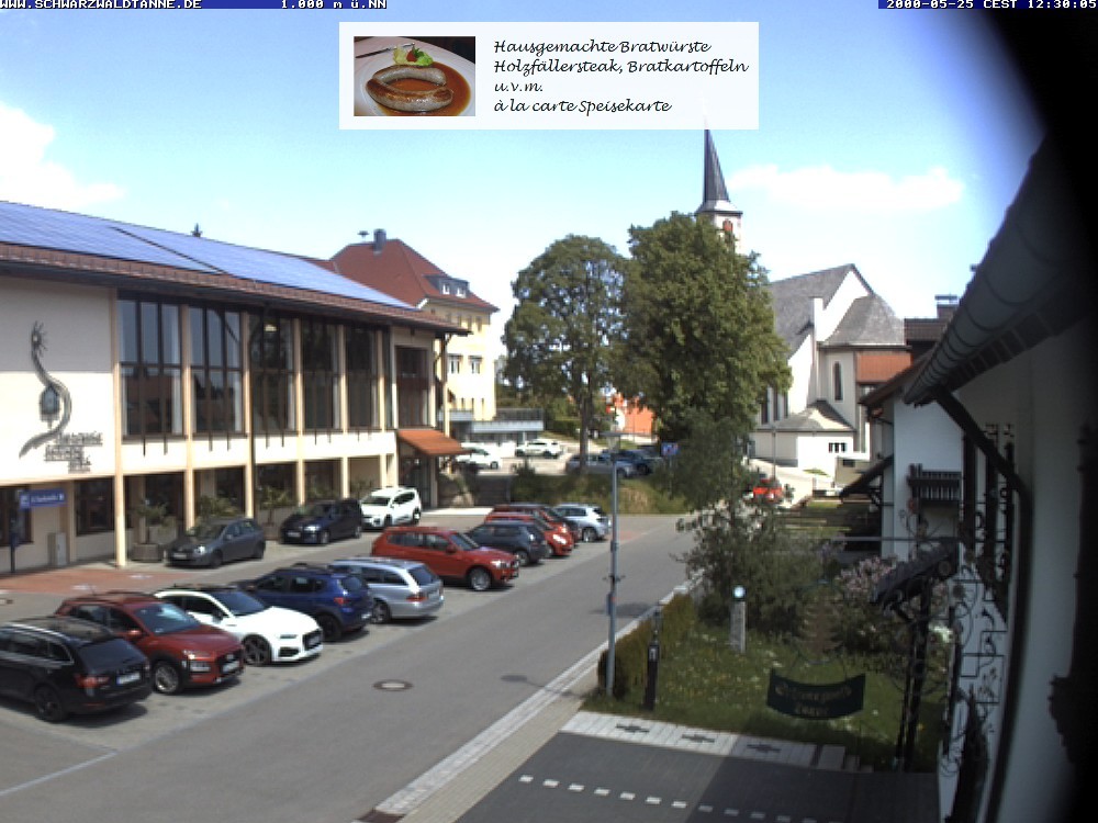 Archived image Webcam View from Guesthouse "Schwarzwaldtanne"