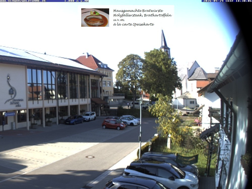 Archiv Foto Webcam Schönwald: Blick vom Gasthof Schwarzwaldtanne