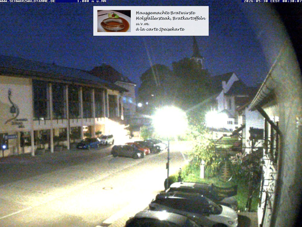 Archived image Webcam View from Guesthouse "Schwarzwaldtanne"