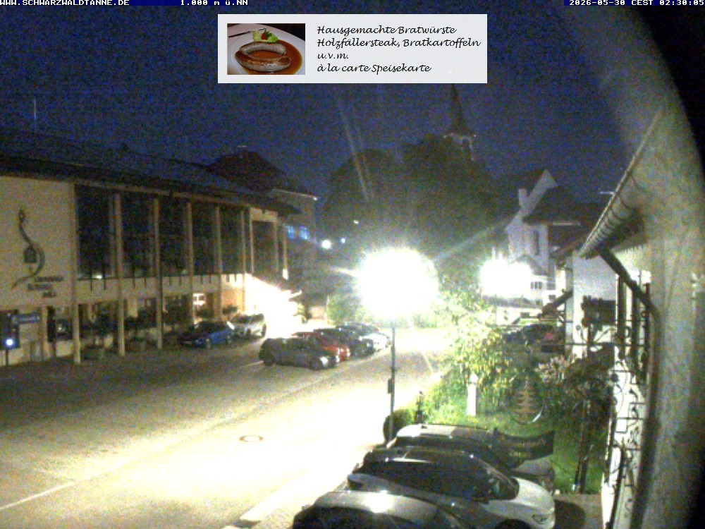 Archived image Webcam View from Guesthouse "Schwarzwaldtanne"