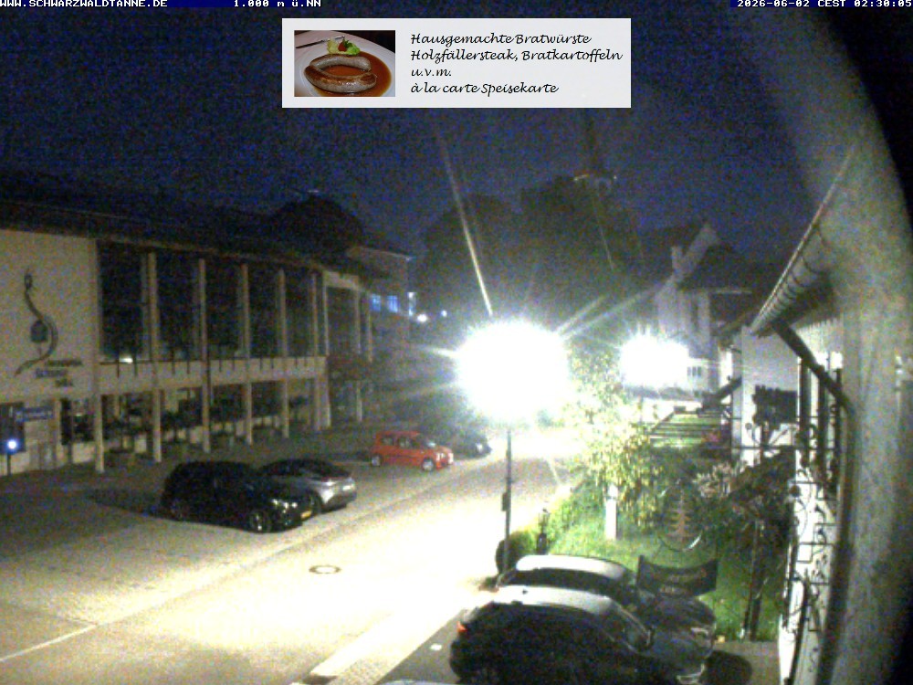 Archiv Foto Webcam Schönwald: Blick vom Gasthof Schwarzwaldtanne