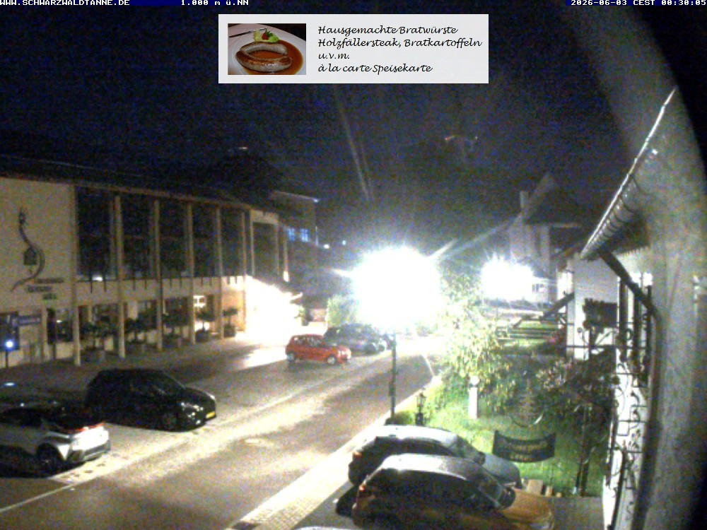 Archiv Foto Webcam Schönwald: Blick vom Gasthof Schwarzwaldtanne