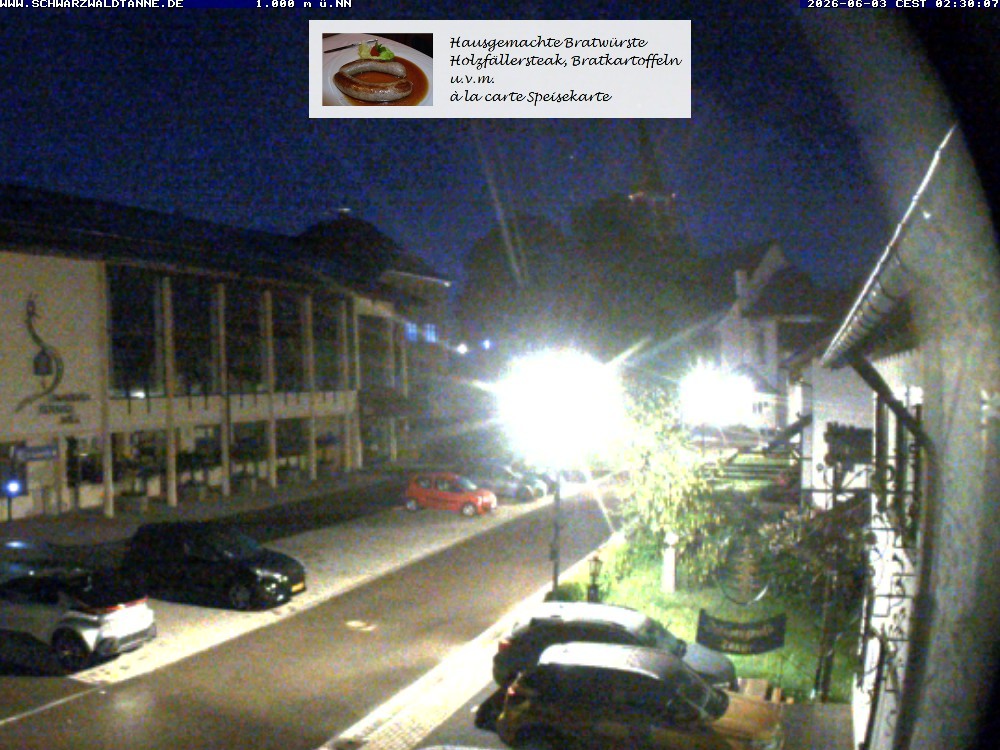 Archiv Foto Webcam Schönwald: Blick vom Gasthof Schwarzwaldtanne