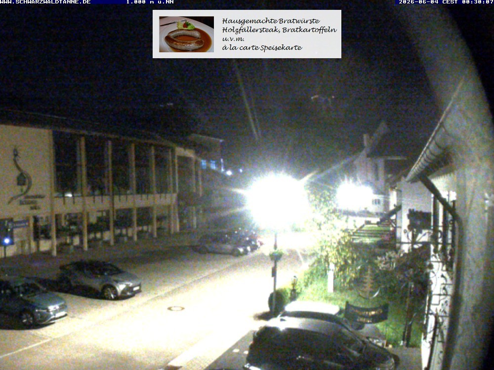 Archiv Foto Webcam Schönwald: Blick vom Gasthof Schwarzwaldtanne