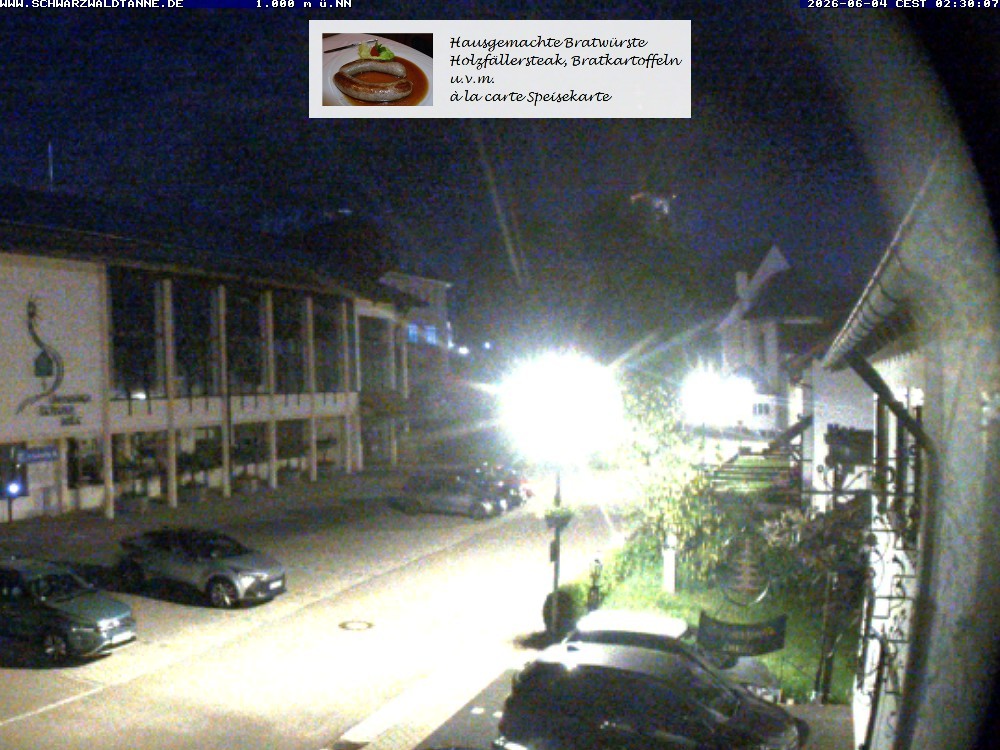 Archiv Foto Webcam Schönwald: Blick vom Gasthof Schwarzwaldtanne