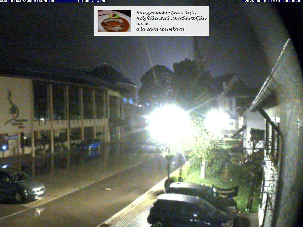 Archiv Foto Webcam Schönwald: Blick vom Gasthof Schwarzwaldtanne