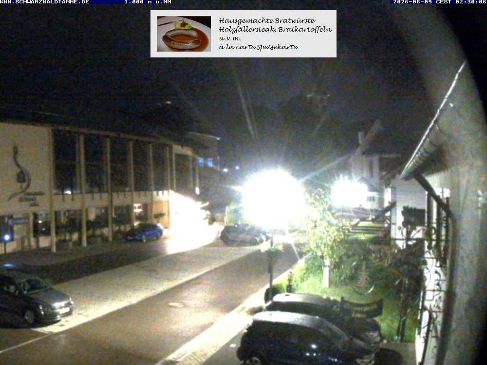 Archiv Foto Webcam Schönwald: Blick vom Gasthof Schwarzwaldtanne