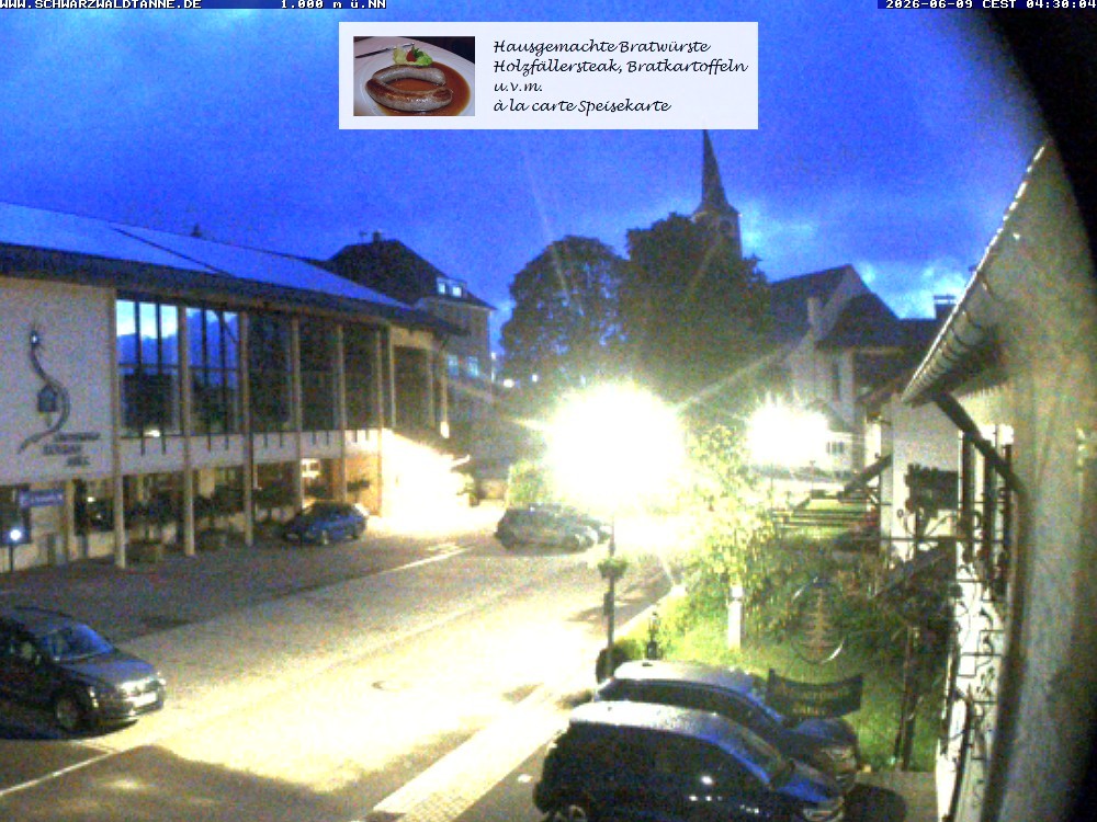 Archiv Foto Webcam Schönwald: Blick vom Gasthof Schwarzwaldtanne