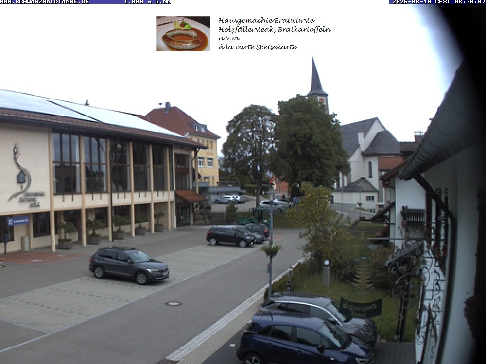 Archived image Webcam View from Guesthouse "Schwarzwaldtanne"