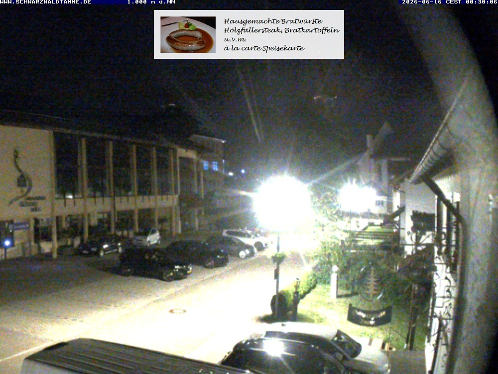 Archiv Foto Webcam Schönwald: Blick vom Gasthof Schwarzwaldtanne
