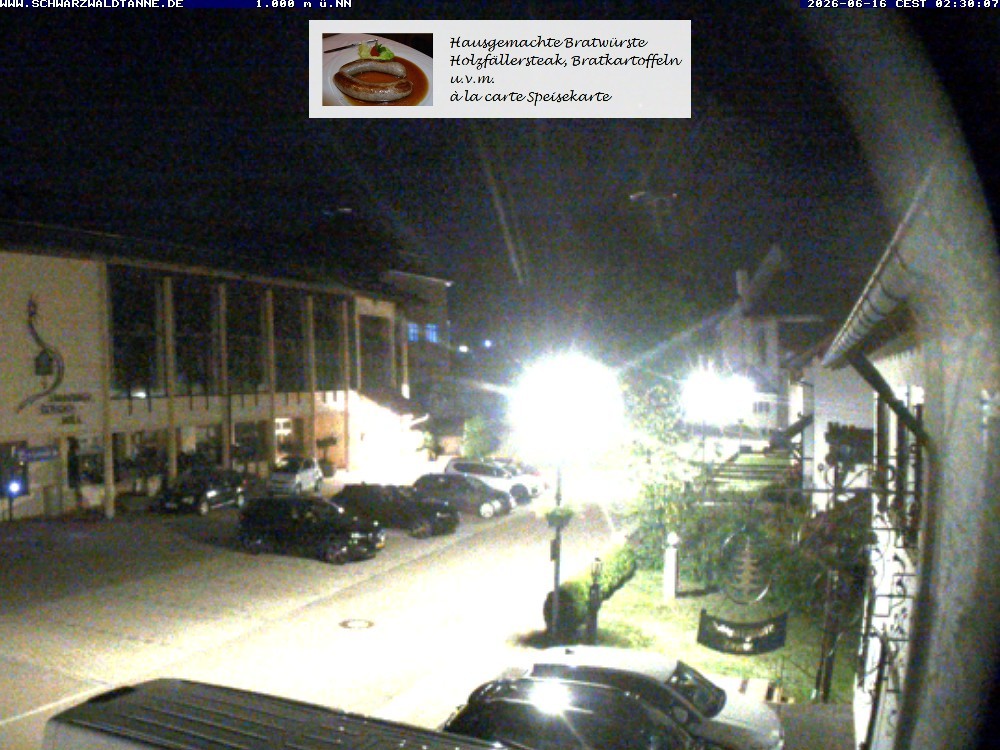 Archiv Foto Webcam Schönwald: Blick vom Gasthof Schwarzwaldtanne