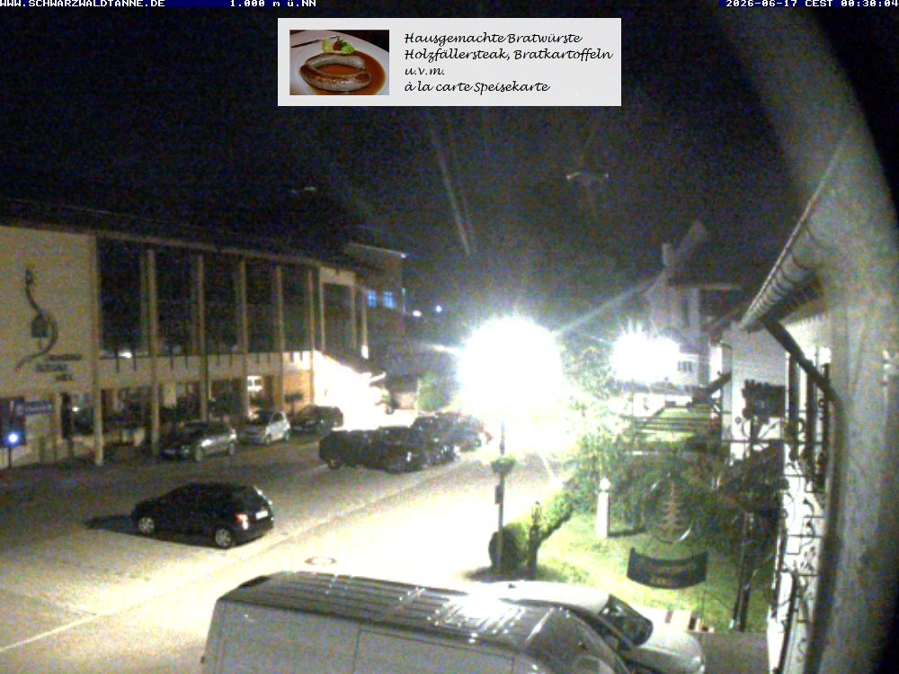 Archived image Webcam View from Guesthouse "Schwarzwaldtanne"