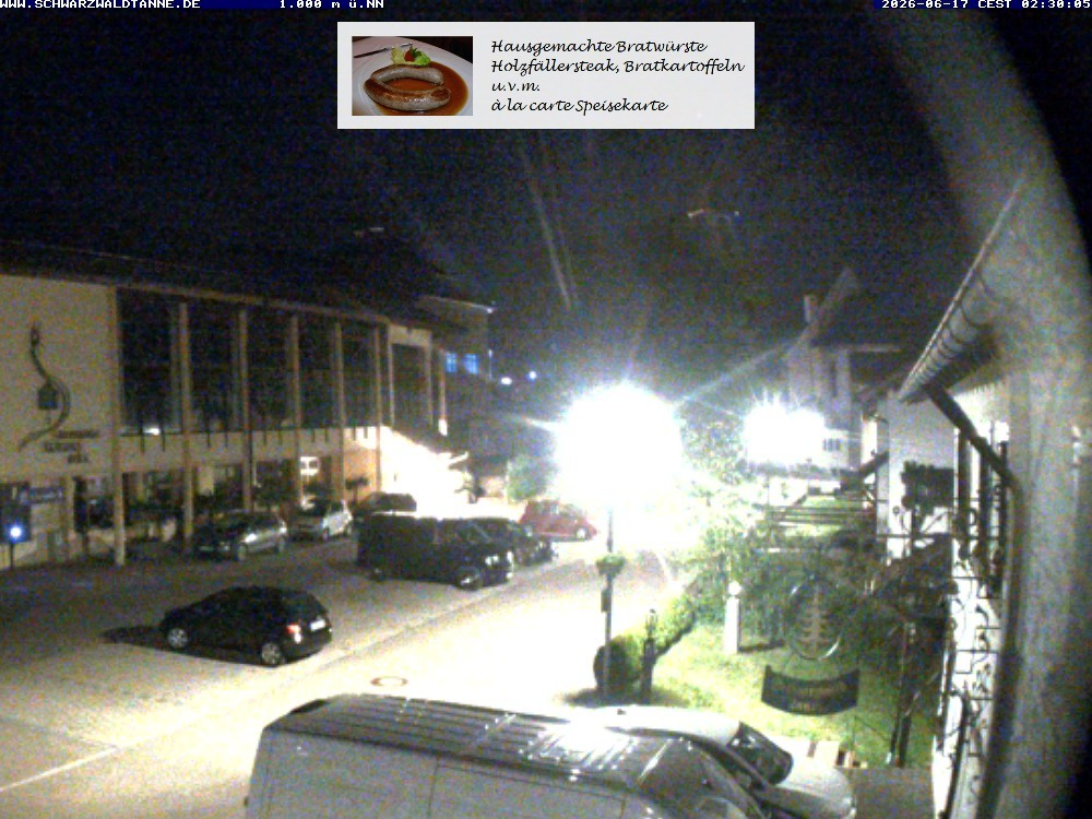 Archived image Webcam View from Guesthouse "Schwarzwaldtanne"