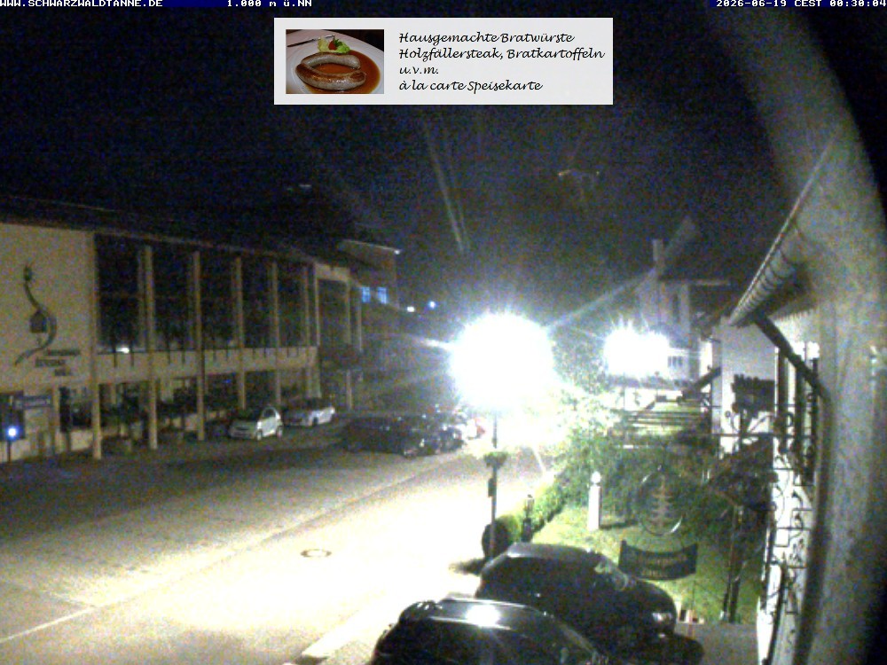 Archiv Foto Webcam Schönwald: Blick vom Gasthof Schwarzwaldtanne