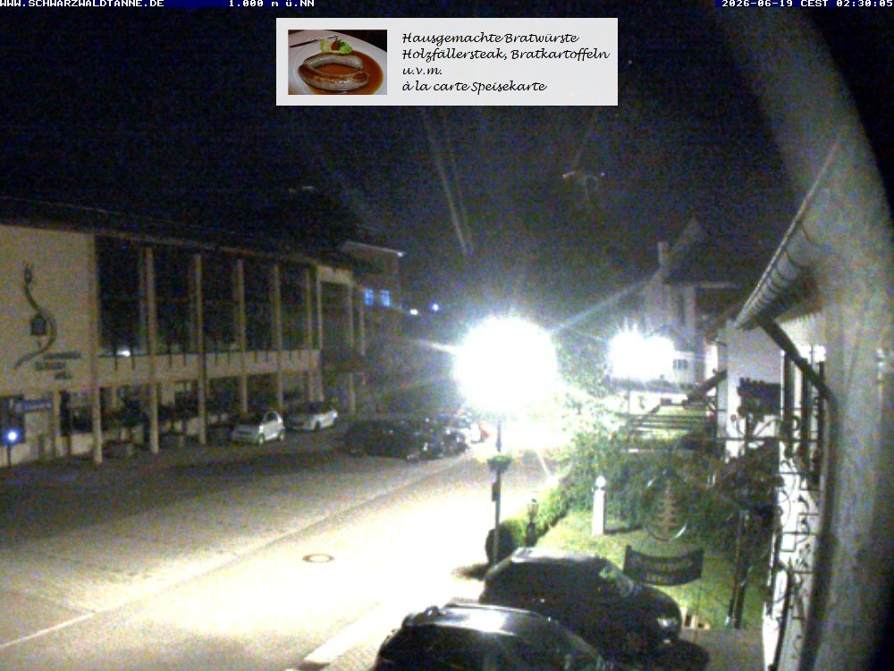 Archiv Foto Webcam Schönwald: Blick vom Gasthof Schwarzwaldtanne