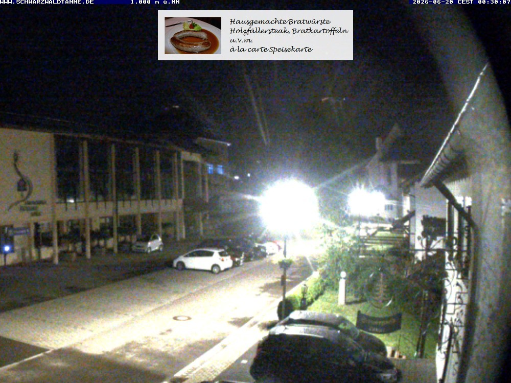 Archiv Foto Webcam Schönwald: Blick vom Gasthof Schwarzwaldtanne