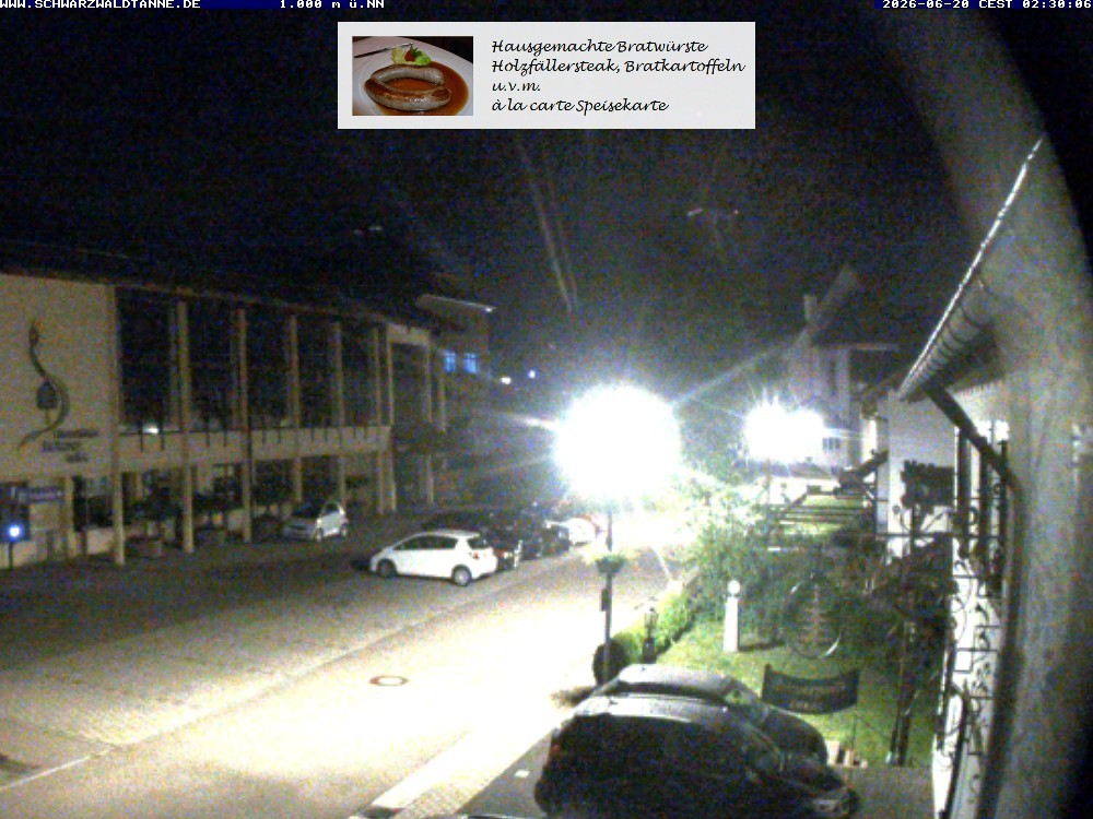 Archiv Foto Webcam Schönwald: Blick vom Gasthof Schwarzwaldtanne