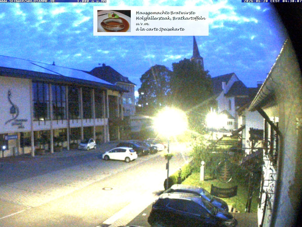 Archiv Foto Webcam Schönwald: Blick vom Gasthof Schwarzwaldtanne