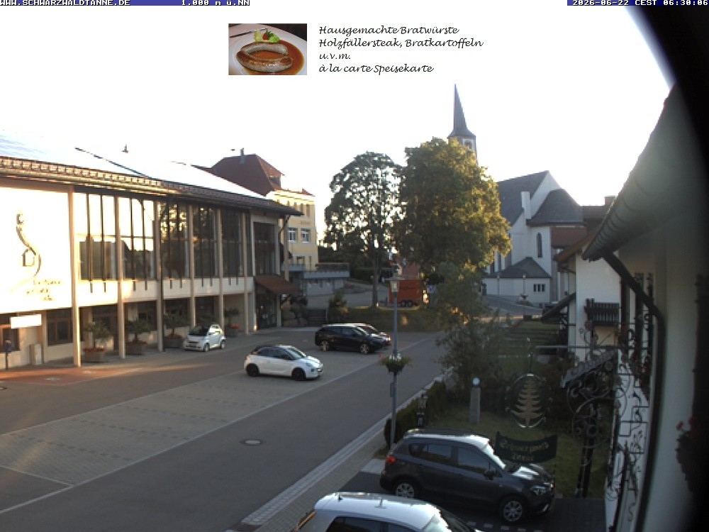 Archived image Webcam View from Guesthouse "Schwarzwaldtanne"
