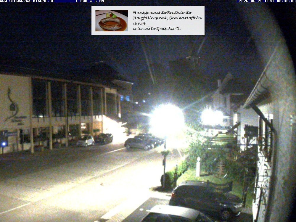 Archiv Foto Webcam Schönwald: Blick vom Gasthof Schwarzwaldtanne