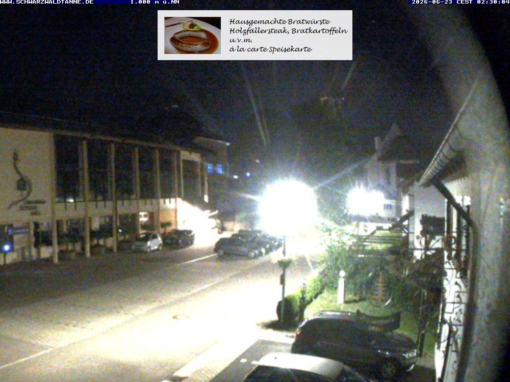 Archiv Foto Webcam Schönwald: Blick vom Gasthof Schwarzwaldtanne