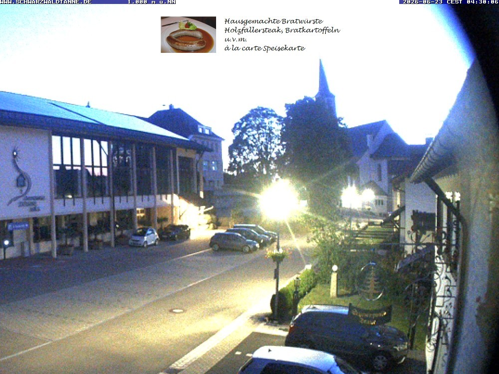 Archiv Foto Webcam Schönwald: Blick vom Gasthof Schwarzwaldtanne