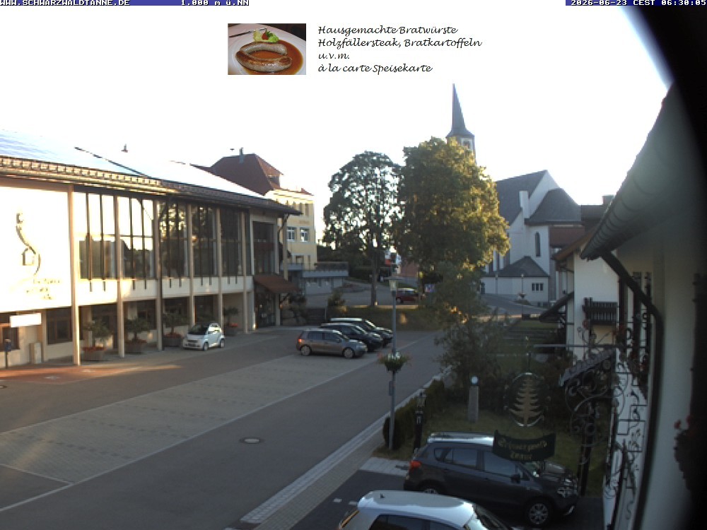 Archiv Foto Webcam Schönwald: Blick vom Gasthof Schwarzwaldtanne