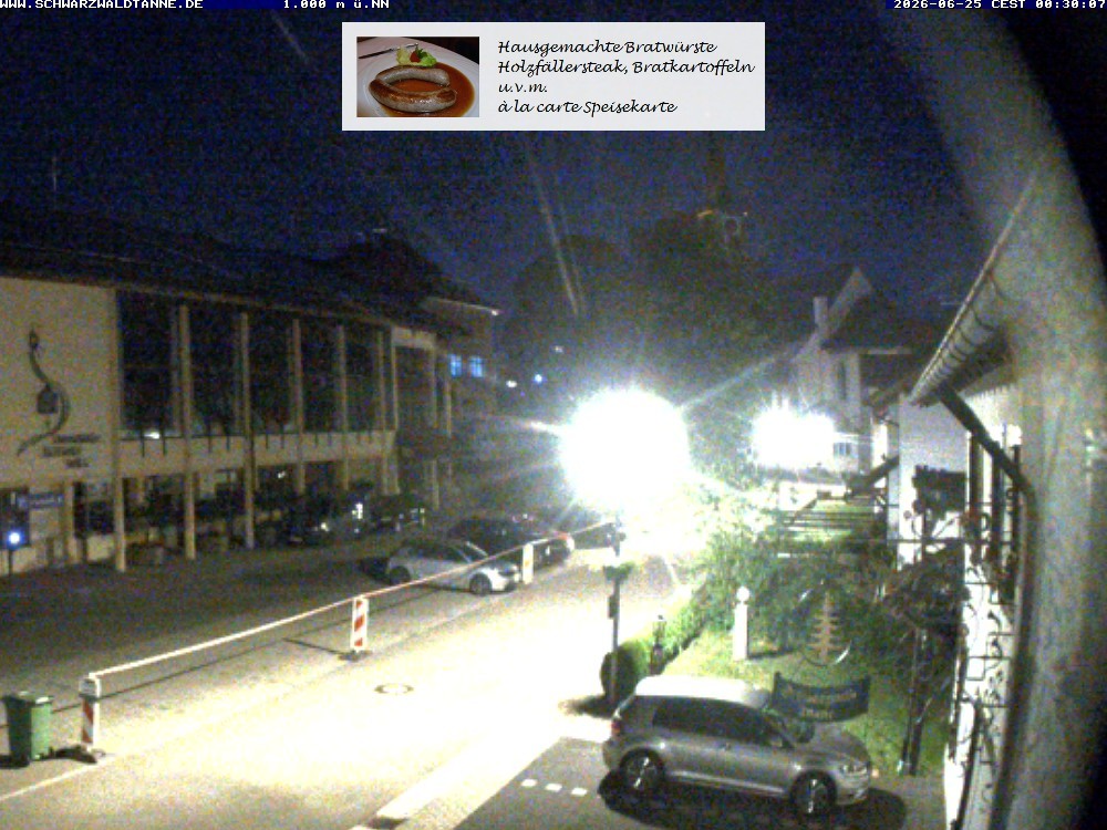 Archiv Foto Webcam Schönwald: Blick vom Gasthof Schwarzwaldtanne