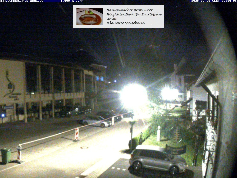 Archiv Foto Webcam Schönwald: Blick vom Gasthof Schwarzwaldtanne